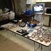 Photos: Harlem Drug Bust Yields Pot, Snakes, Weapons, Dogs